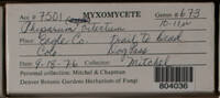Image Associated With the Occurence
